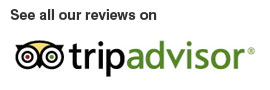 Trip Advisor